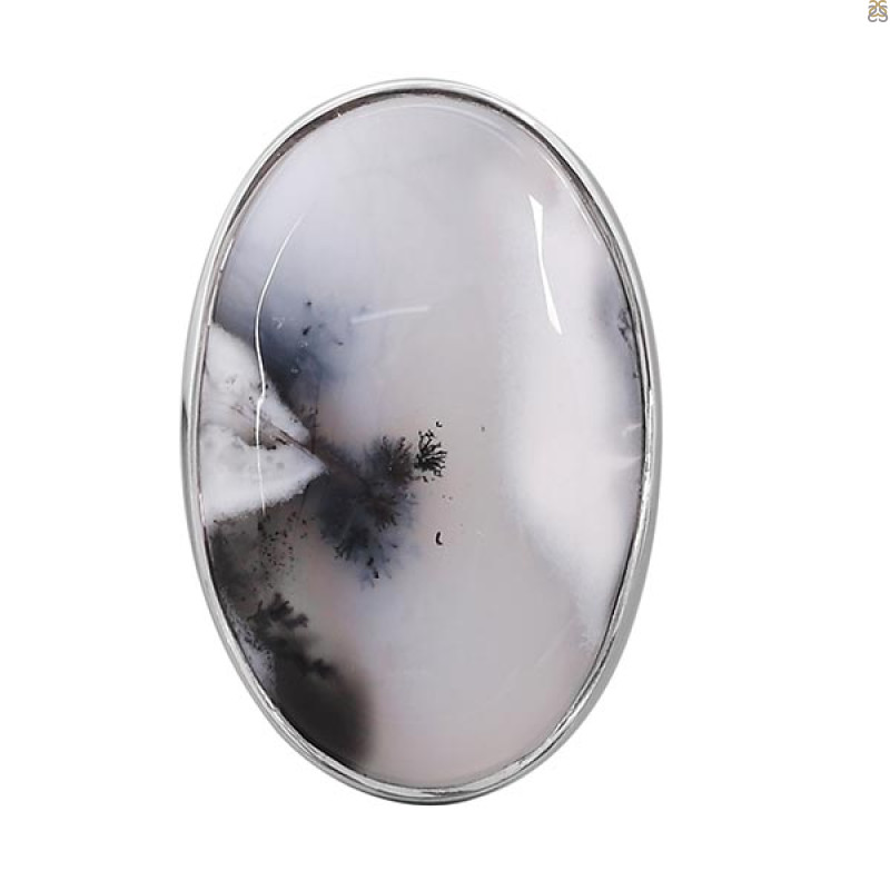 Dendritic Agate Ring-R-Size-6 DDA-2-6
