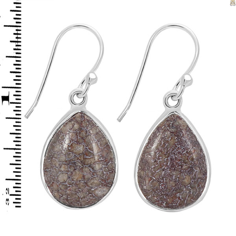 Dinosaur Bone Earring-E DSB-3-20