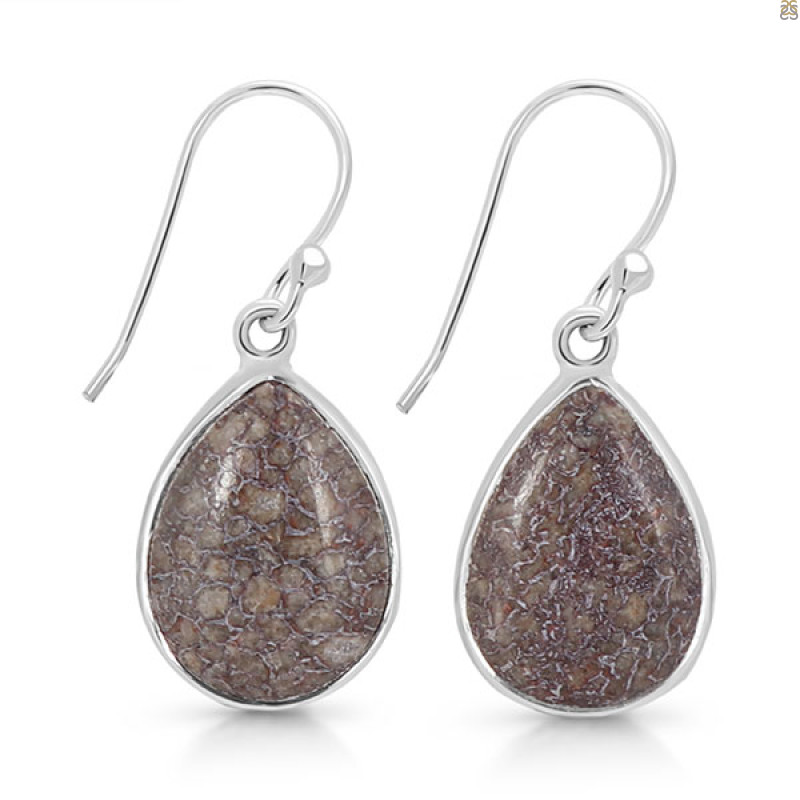 Dinosaur Bone Earring-E DSB-3-20