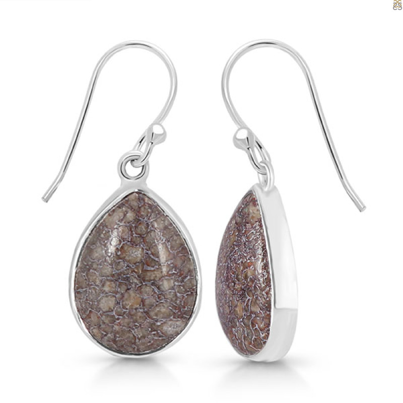 Dinosaur Bone Earring-E DSB-3-20