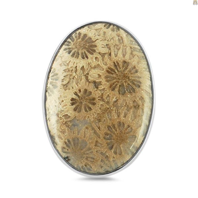 Fossilized Coral Adjustable Ring-ADJ-R FSC-2-46
