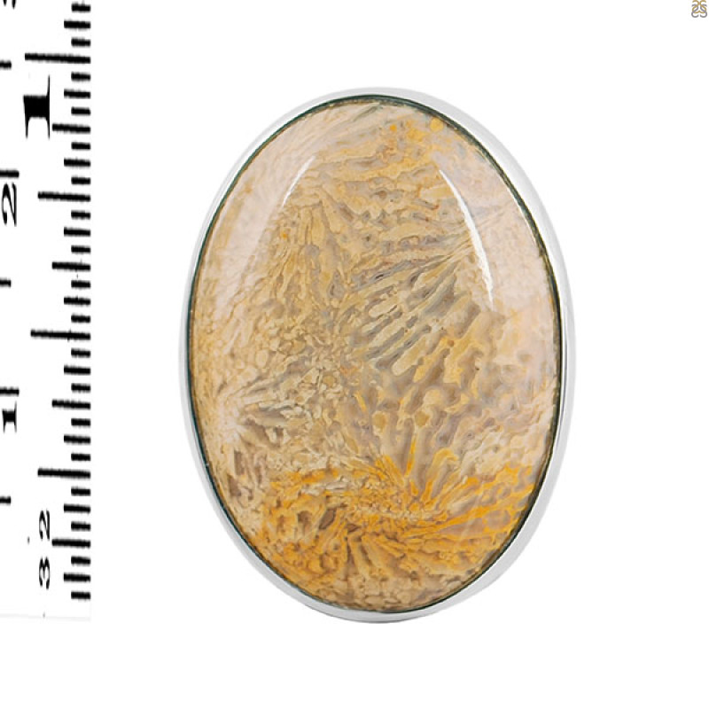 Fossilized Coral Adjustable Ring-ADJ-R FSC-2-56