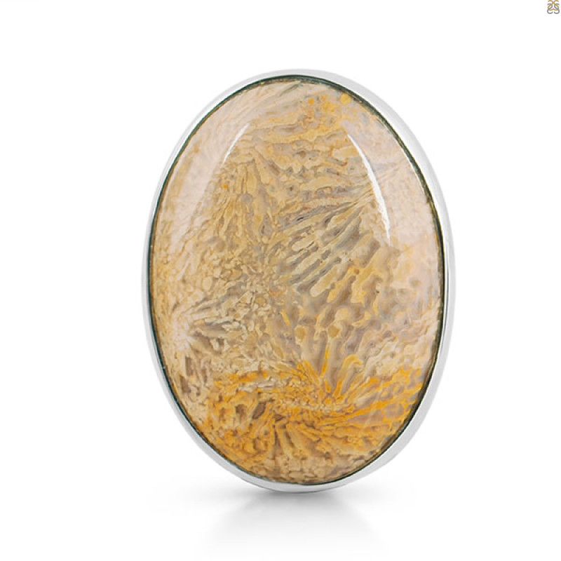 Fossilized Coral Adjustable Ring-ADJ-R FSC-2-56