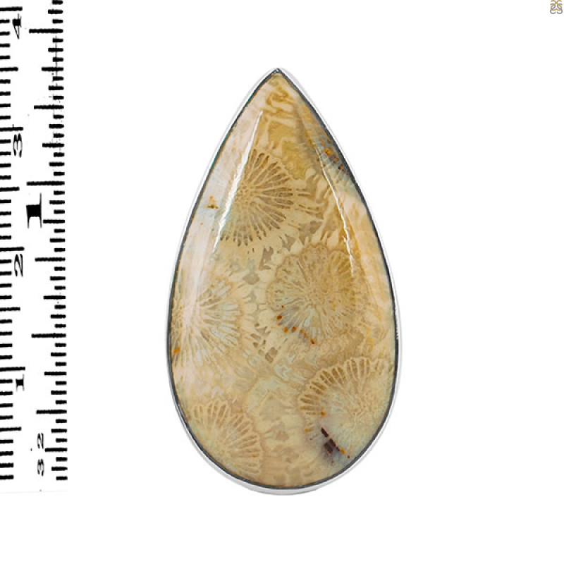 Fossilized Coral Adjustable Ring-ADJ-R FSC-2-69