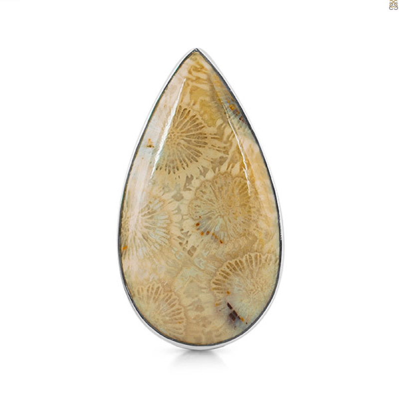 Fossilized Coral Adjustable Ring-ADJ-R FSC-2-69