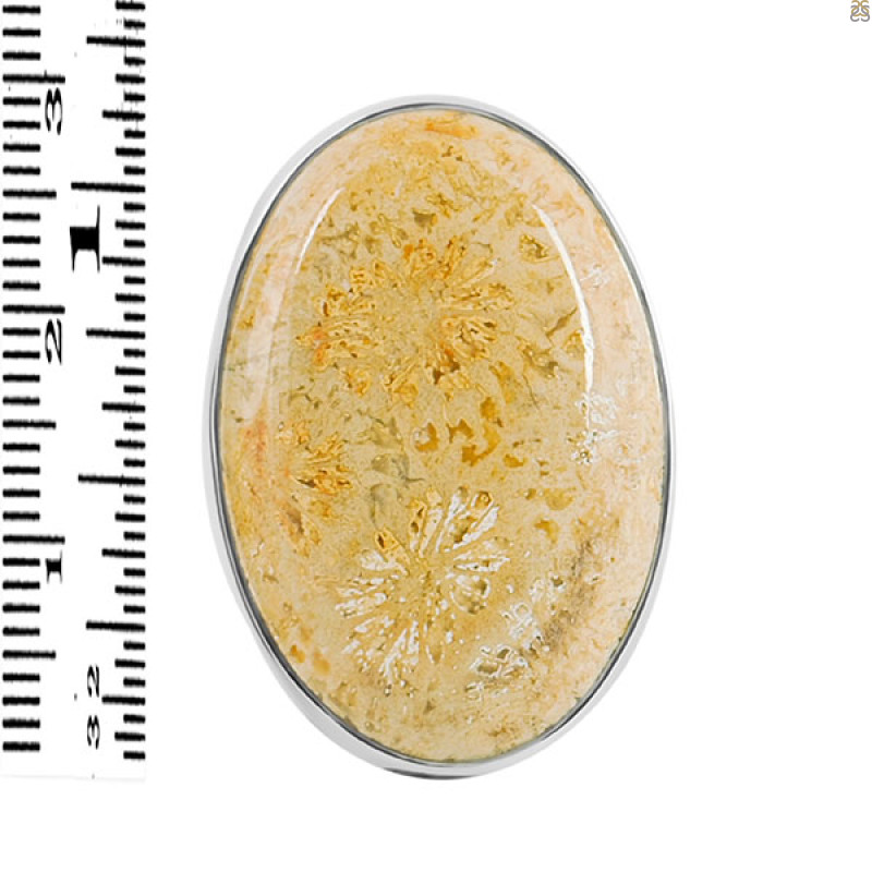 Fossilized Coral Adjustable Ring-ADJ-R FSC-2-77