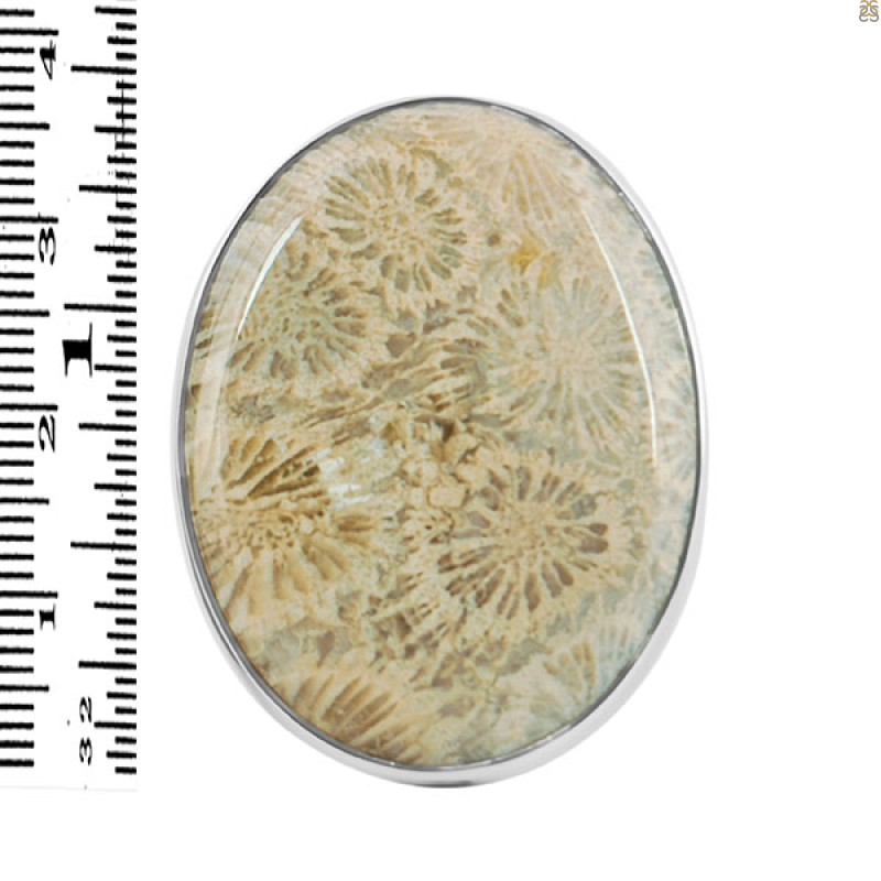 Fossilized Coral Adjustable Ring-ADJ-R FSC-2-79
