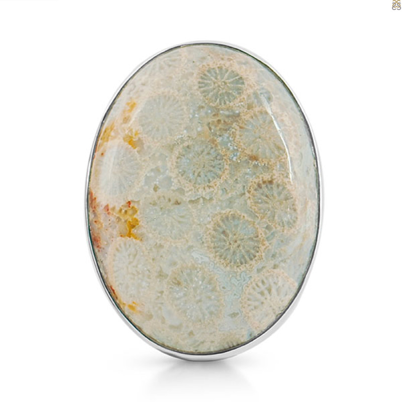 Fossilized Coral Adjustable Ring-ADJ-R FSC-2-81