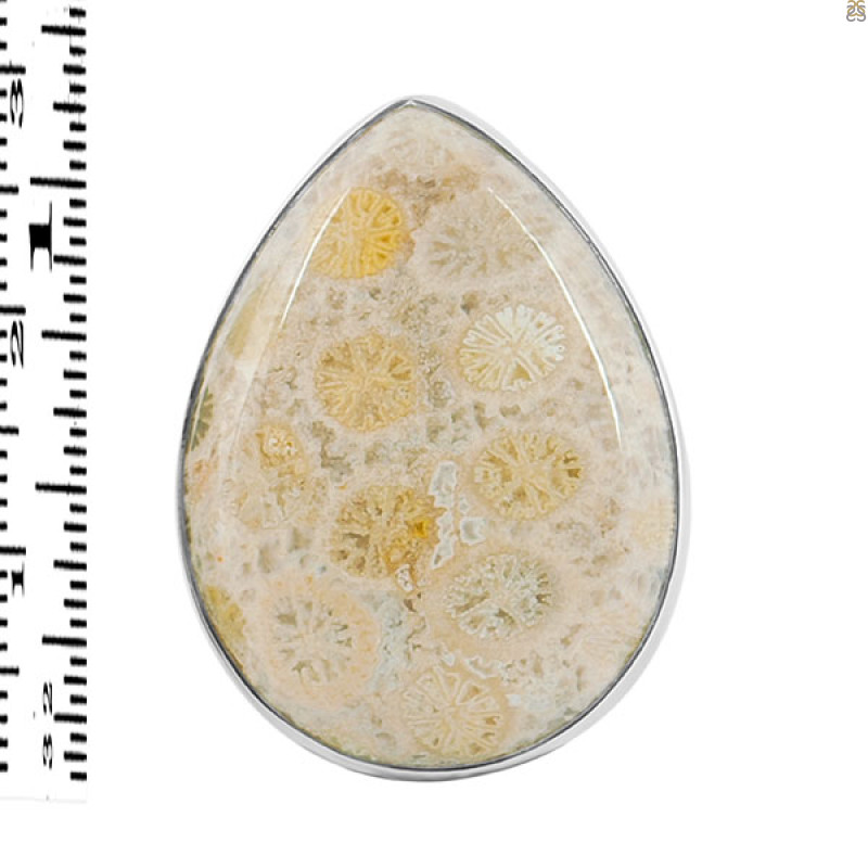 Fossilized Coral Adjustable Ring-ADJ-R FSC-2-92