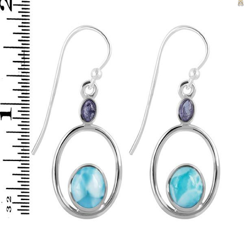 Close Out Larimar/Tanzanite Earring-2E LAR-CO-3-162