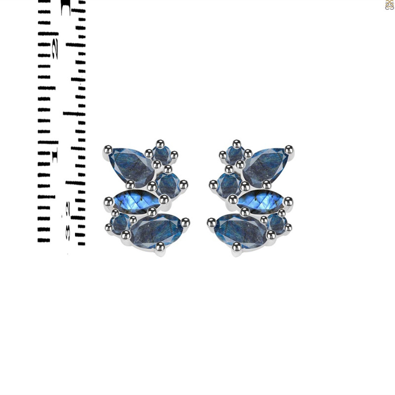 Labradorite Stud Earring LBD-RDE-1261.