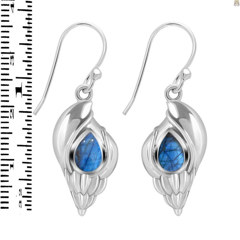 Labradorite Shell Earring LBD-RUE-7.
