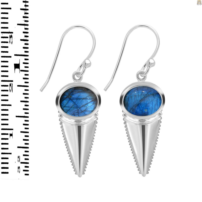 Labradorite Shell Earring LBD-RUE-8.