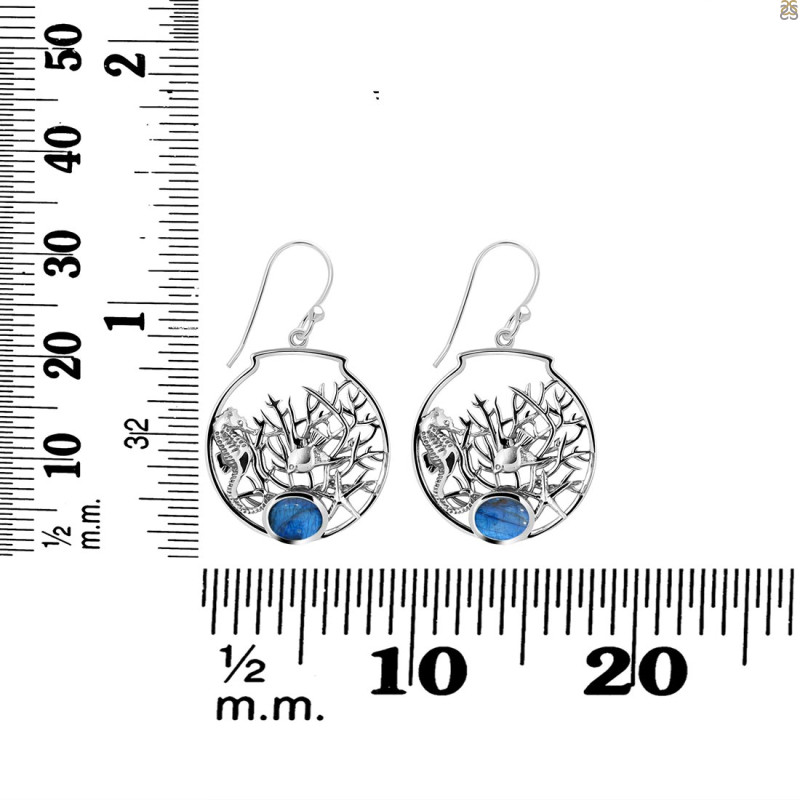 Labradorite Sea Horse & Fish Earring LBD-RUE-41.