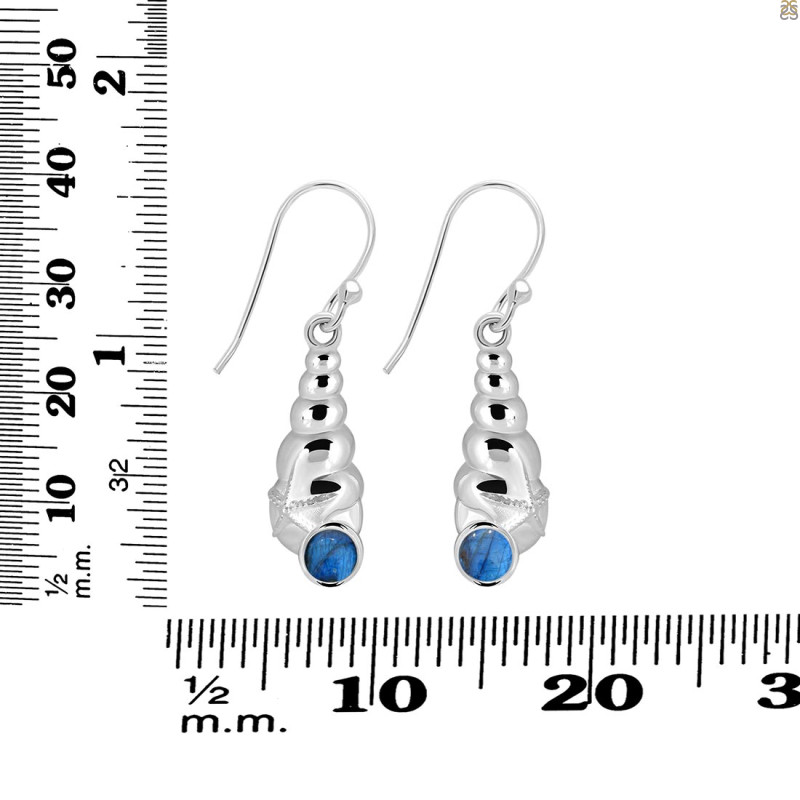 Labradorite Shell Earring LBD-RUE-60.