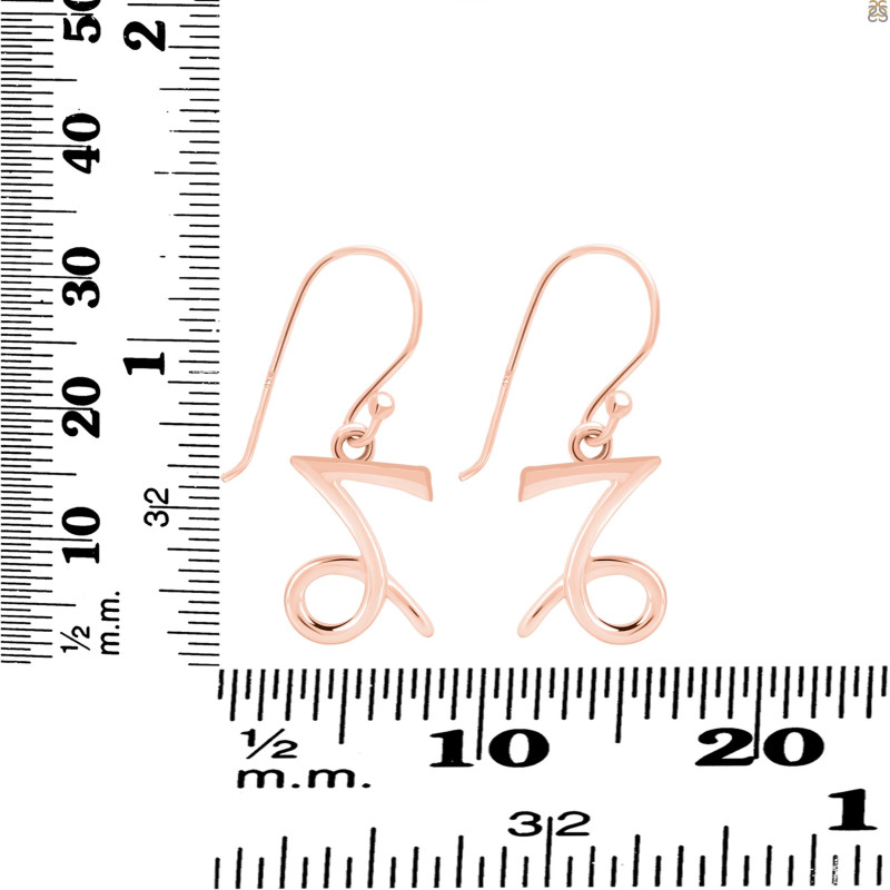 Capricorn Zodiac Earring PS-RDE-1494.