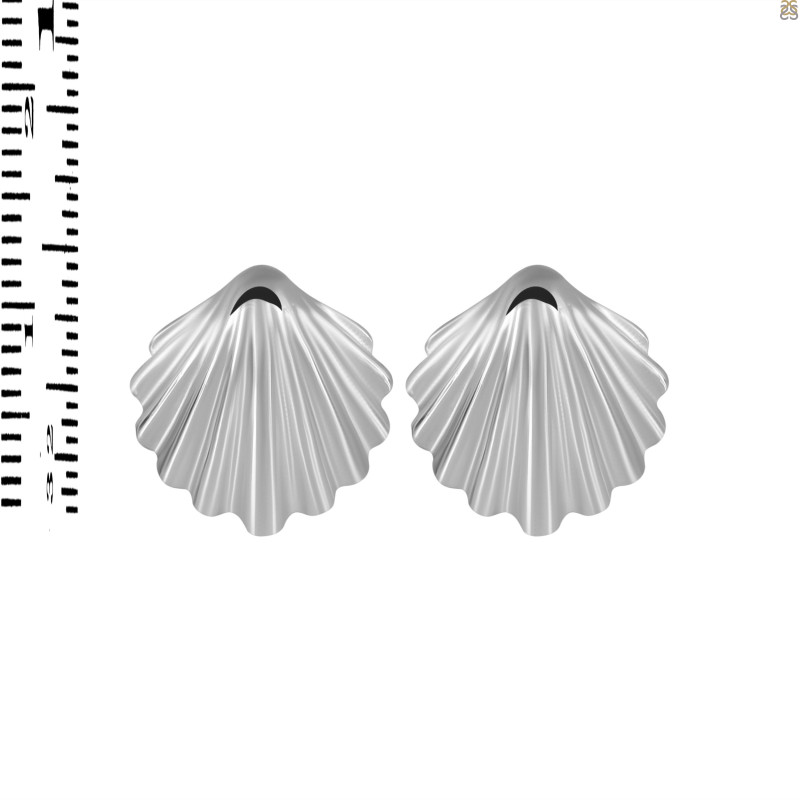 Plain Silver Shell Stud Earring PS-RDE-618.