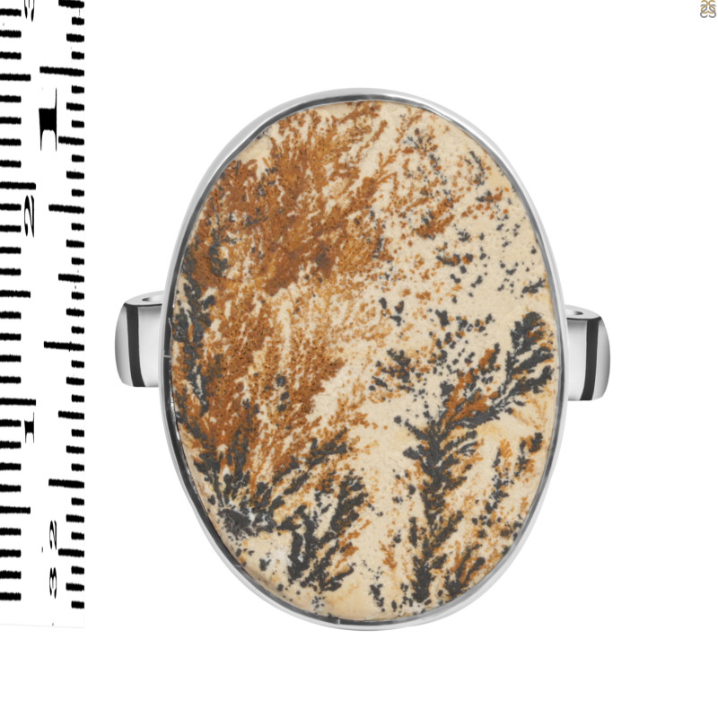 Psilomelane Dendrite Adjustable Ring-ADJ-R PSD-2-88