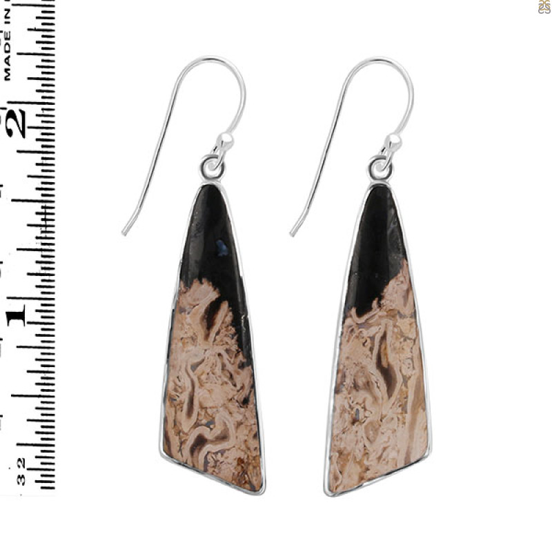 Petrified Wood Earring-E PTF-3-25