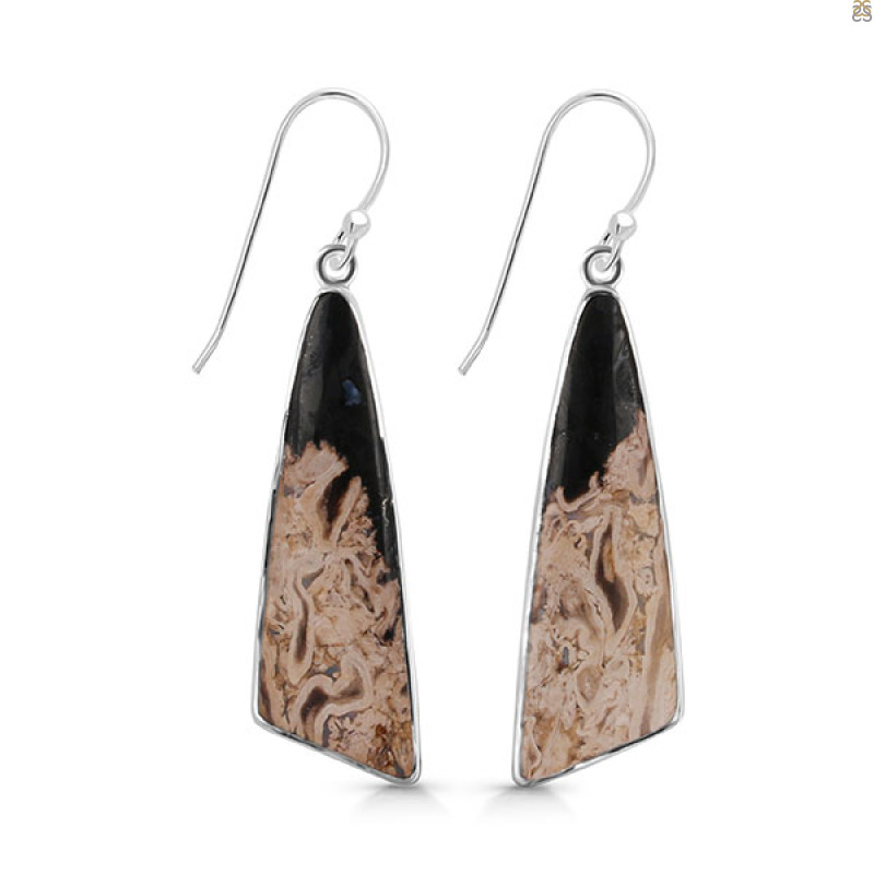 Petrified Wood Earring-E PTF-3-25