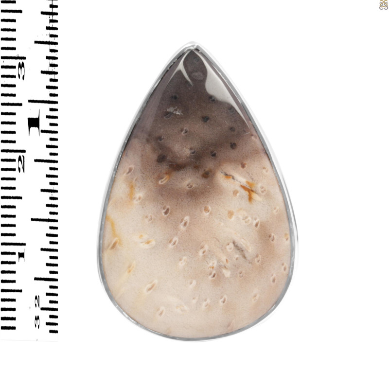 Plumroot Agate Adjustable Ring-ADJ-R PTJ-2-19