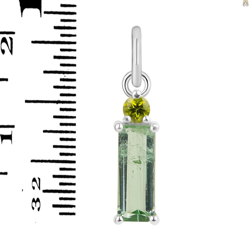 Tourmaline Pendant-2SP TRM-1-1016