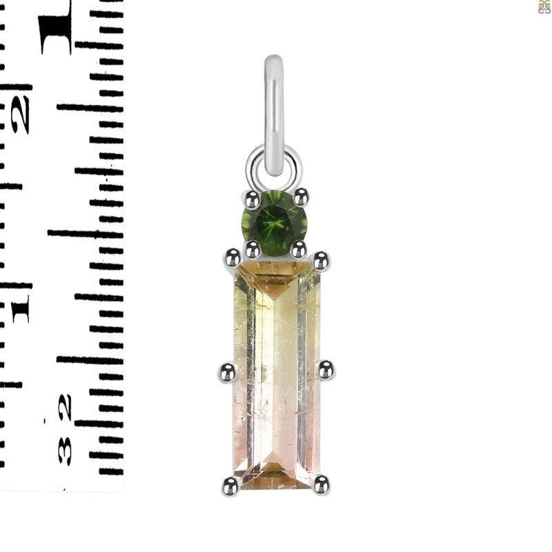Tourmaline Pendant-2SP TRM-1-1031