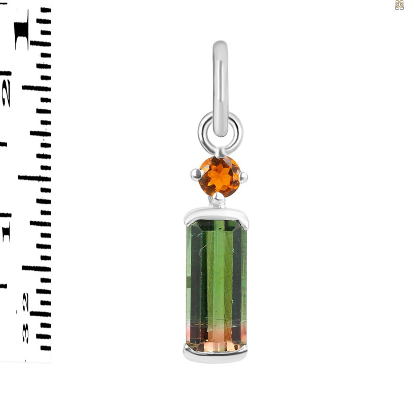 Tourmaline Pendant-2SP TRM-1-1039