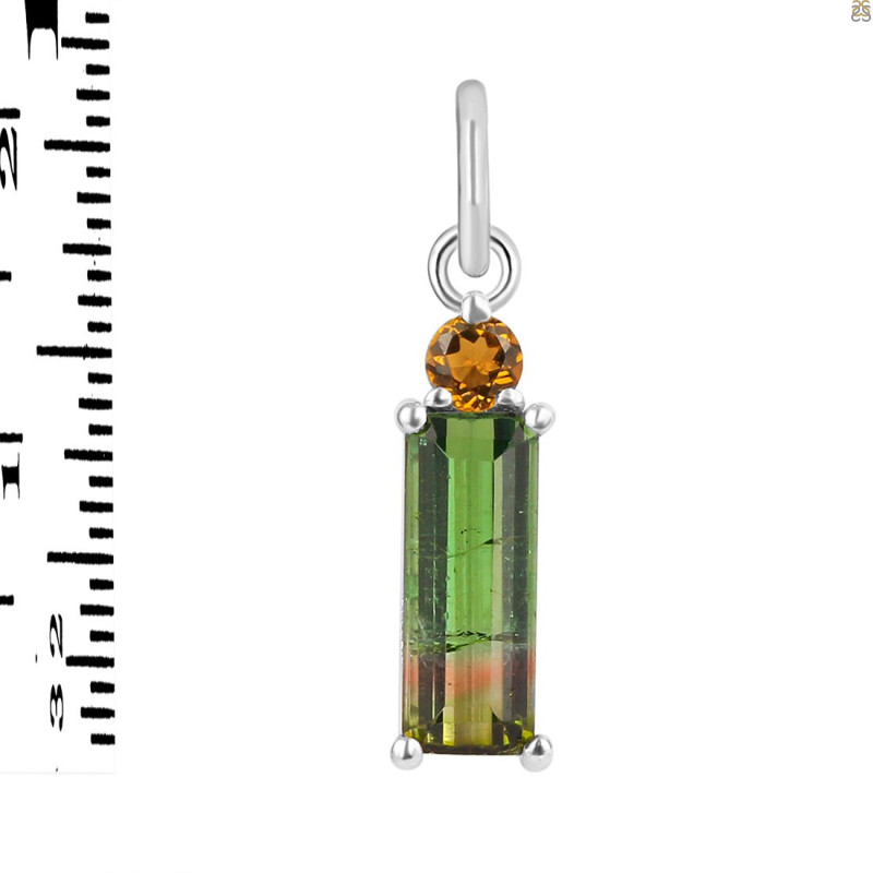 Tourmaline Pendant-2SP TRM-1-1044