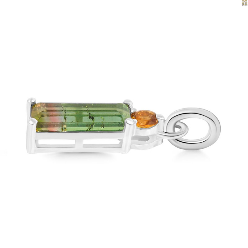 Tourmaline Pendant-2SP TRM-1-1044