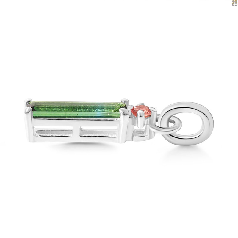 Tourmaline Pendant-2SP TRM-1-420