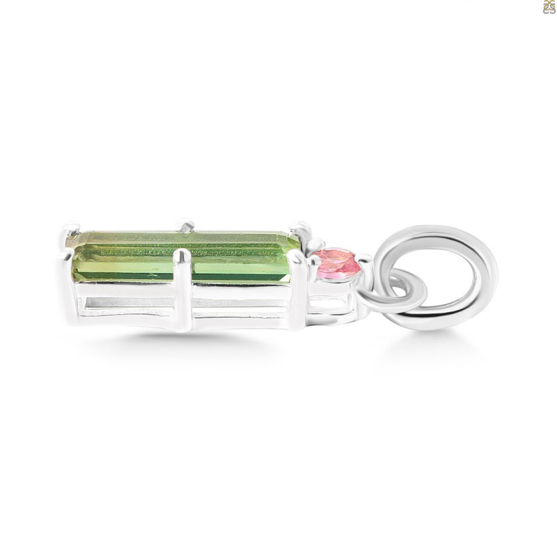 Tourmaline Pendant-2SP TRM-1-450