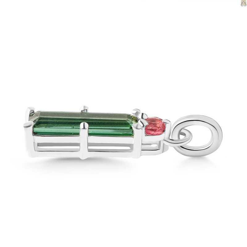 Tourmaline Pendant-2SP TRM-1-494