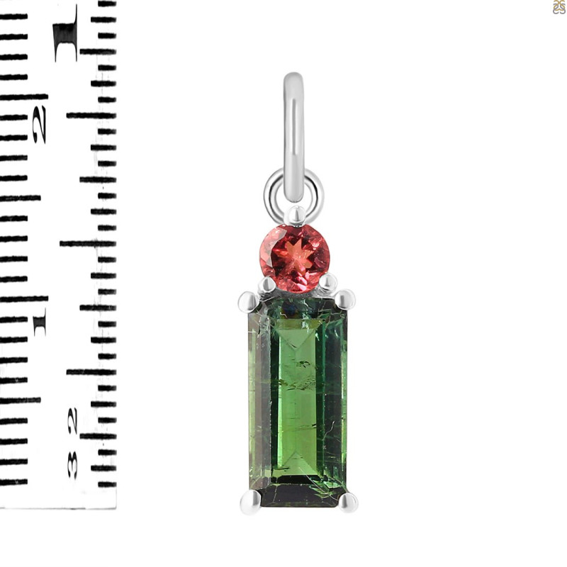 Tourmaline Pendant-2SP TRM-1-510