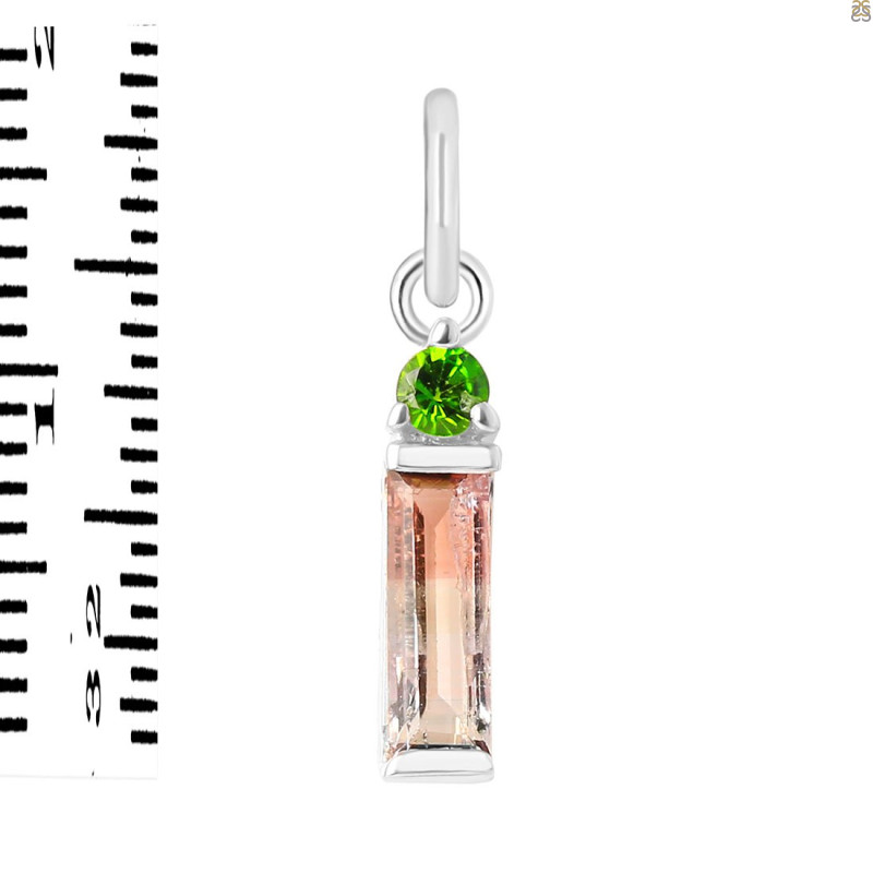 Tourmaline Pendant-2SP TRM-1-560