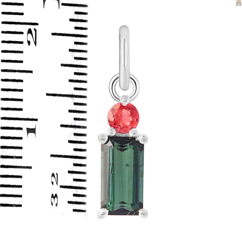 Tourmaline Pendant-2SP TRM-1-619