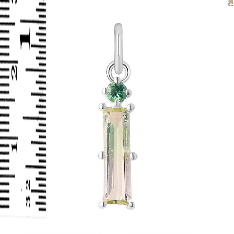 Tourmaline Pendant-2SP TRM-1-645