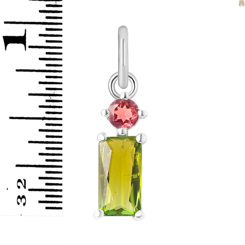 Tourmaline Pendant-2SP TRM-1-657