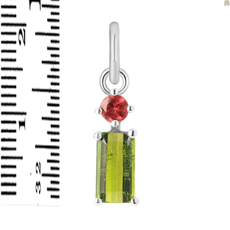 Tourmaline Pendant-2SP TRM-1-671