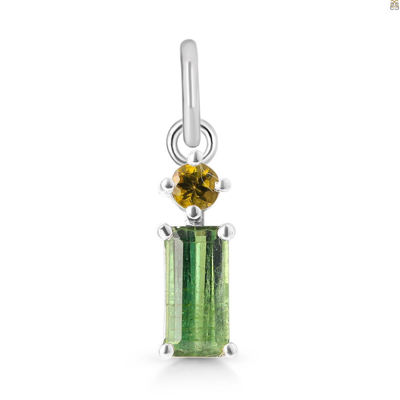 Tourmaline Pendant-2SP TRM-1-685