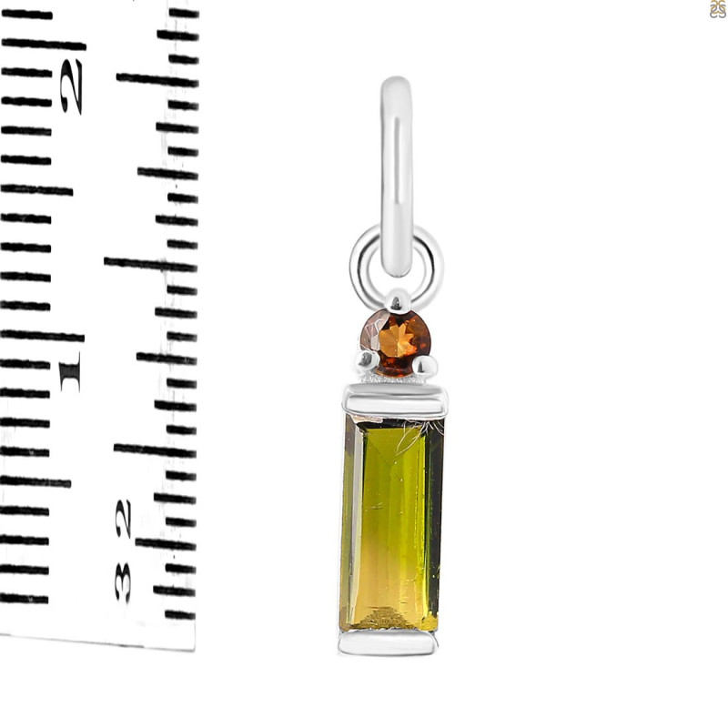 Tourmaline Pendant-2SP TRM-1-686