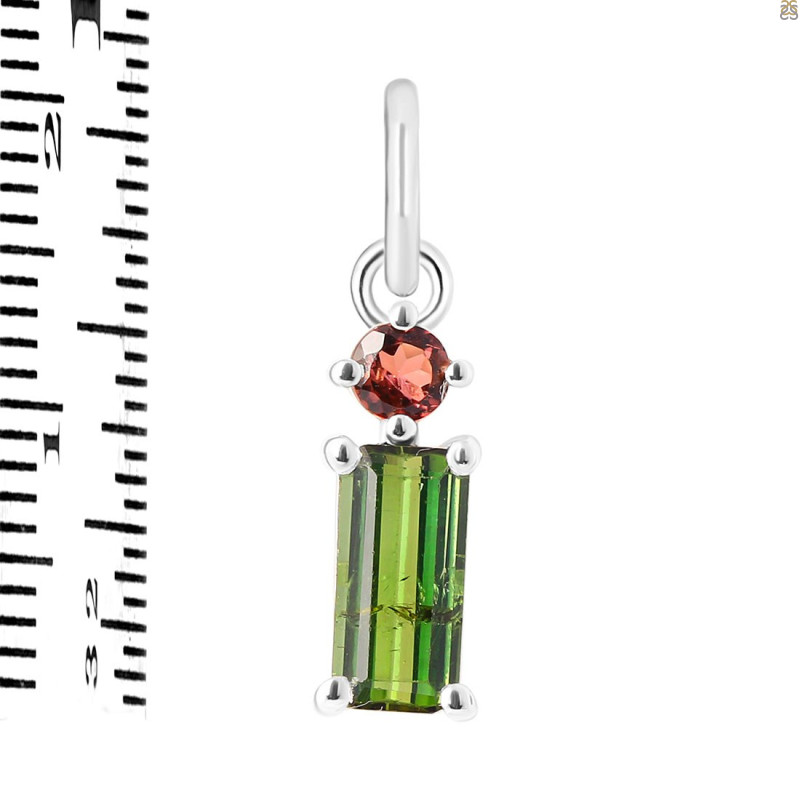 Tourmaline Pendant-2SP TRM-1-691