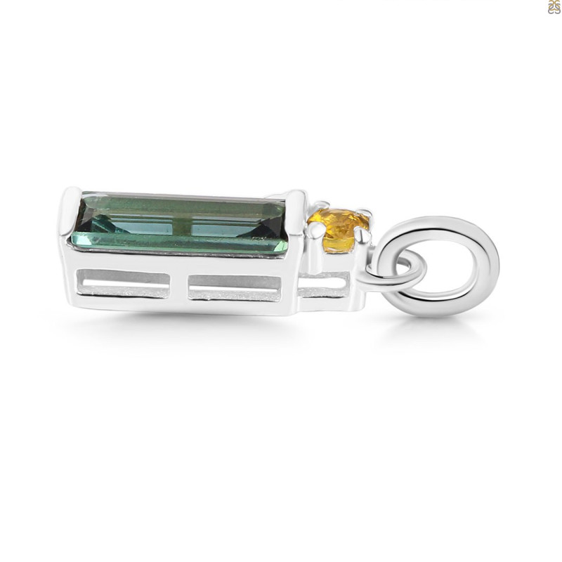 Tourmaline Pendant-2SP TRM-1-738
