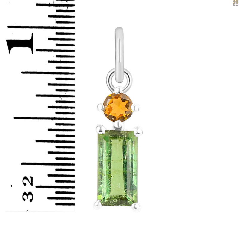 Tourmaline Pendant-2SP TRM-1-741
