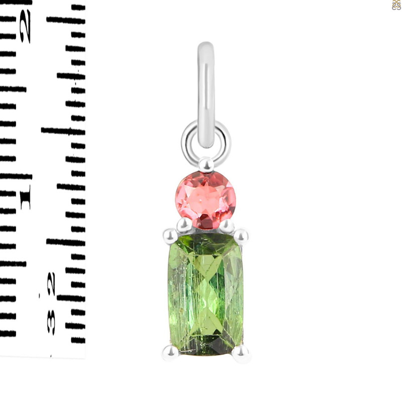 Tourmaline Pendant-2SP TRM-1-753