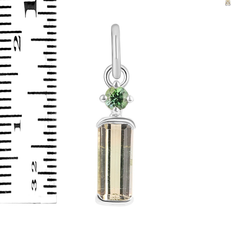 Tourmaline Pendant-2SP TRM-1-767