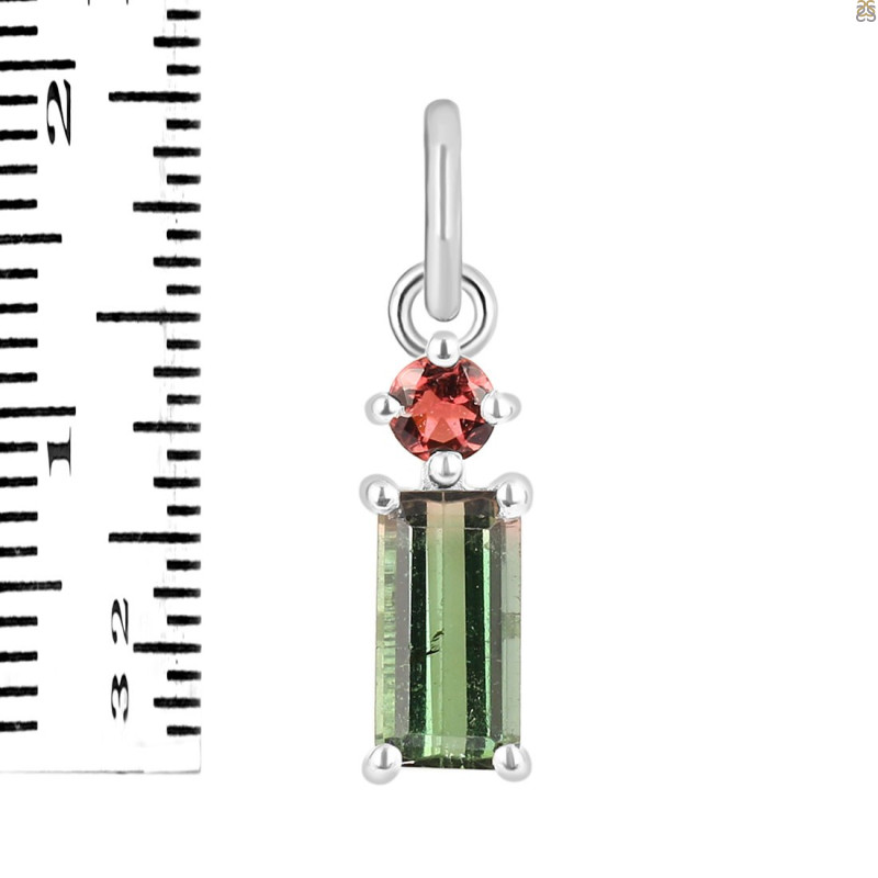Tourmaline Pendant-2SP TRM-1-770