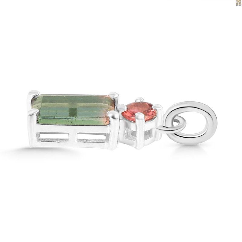 Tourmaline Pendant-2SP TRM-1-769