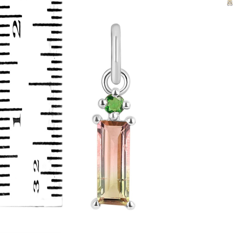 Tourmaline Pendant-2SP TRM-1-776