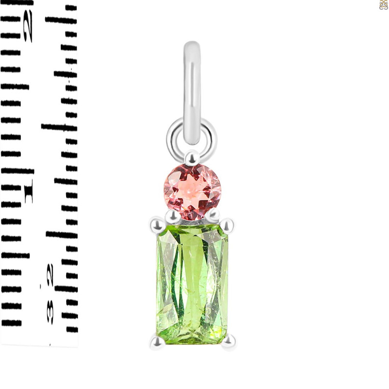 Tourmaline Pendant-2SP TRM-1-814